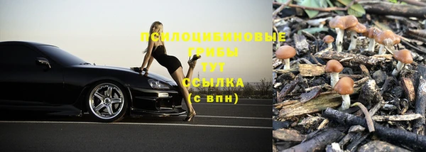 спиды Козловка