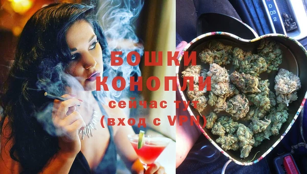 гидра Кодинск