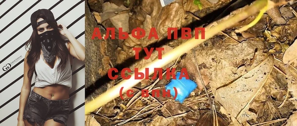 спиды Козловка