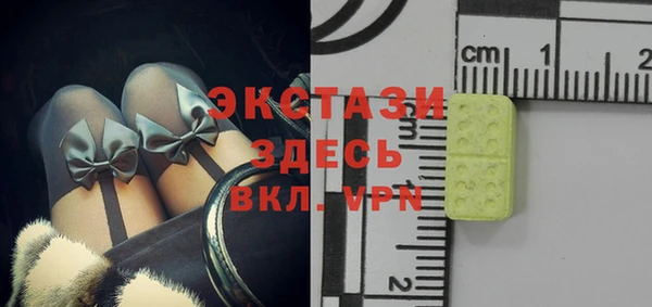 гидра Кодинск