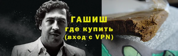 гидра Кодинск