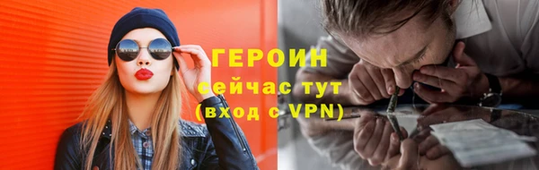 гидра Кодинск