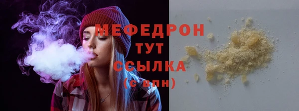гидра Кодинск