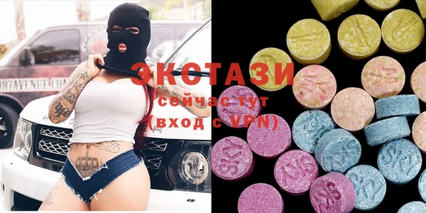 гидра Кодинск