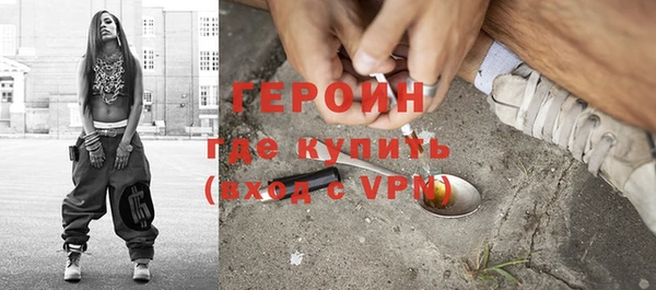гидра Кодинск