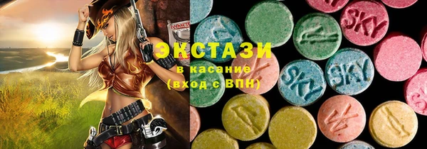 гидра Кодинск