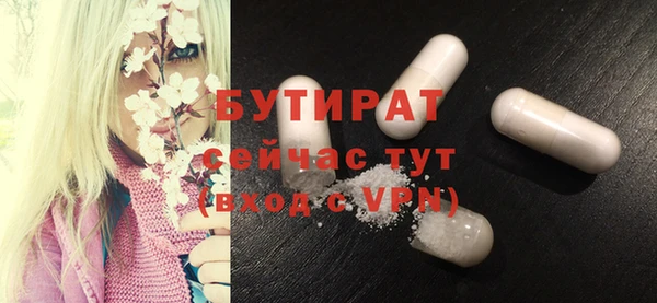 гидра Кодинск