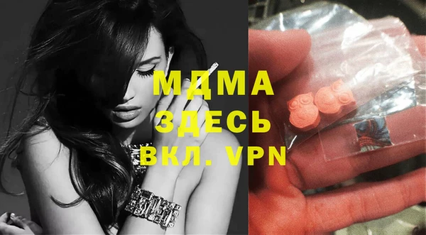 гидра Кодинск